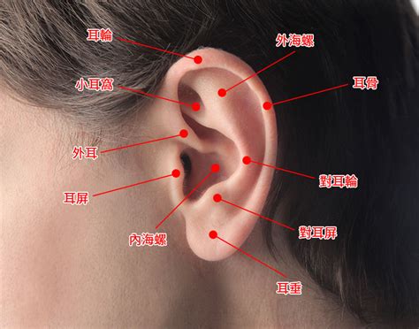 打耳洞洗頭|穿耳洞可以洗頭嗎？專家解析與注意事項